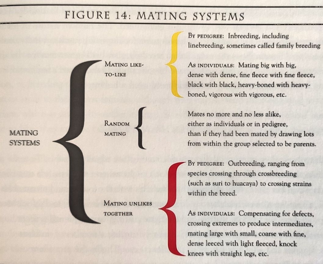 Alpaca Mating Systems