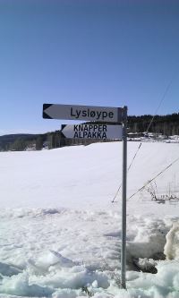 Skilt til Knapper Alpakka